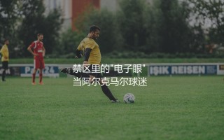 帕夫利迪斯技术特点：禁区里的"电子眼"