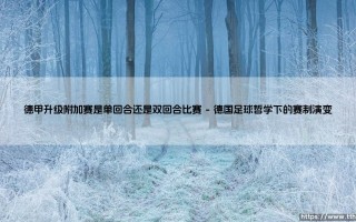德甲升级附加赛的赛制玄机：单回合决胜还是双回合鏖战更显公平？