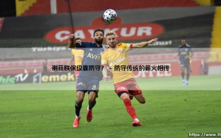 谢菲联保级靠防守？铁血防线背后的生存智慧