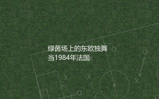 罗马尼亚队参加过几次欧洲杯？绿茵场上的东欧独舞