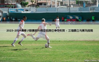 2023-2024赛季J1联赛积分榜亚冠席位争夺形势（天下足球）