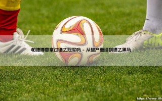 帕德博恩拿过德乙冠军吗？德国黑马球队的崛起之路「帕德博恩德乙夺冠史全解析」