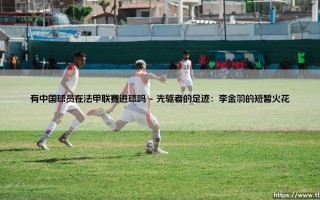 有中国球员在法甲联赛进球吗？一段跨越山海的中国足球记忆