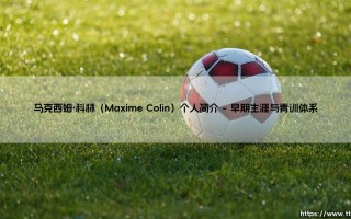 马克西姆·科林个人简介：马克西姆·科林的职业征程