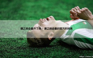 德乙转会窗开了吗？带你一探究竟：夏窗动态全解析