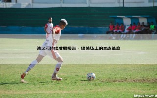 德乙可持续发展报告|磁儿足球说