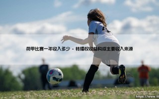 荷甲比赛一年收入多少？深入解析：「荷兰足球联赛」的商业价值与经济规模