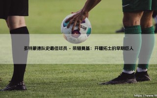 多特蒙德队史最佳球员：黄黑军团传奇的璀璨丰碑