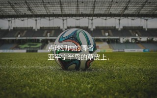 意大利杯历史进球最多的球员：点球弧内的舞者