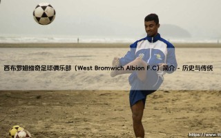 西布罗姆维奇足球俱乐部（West Bromwich Albion F.C）简介全面解读