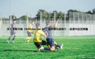 沃尔夫斯贝格（Wolfsberger AC）足球俱乐部简介(绿茵速报)