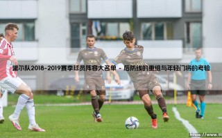 里尔队2018-2019赛季球员阵容大名单深度解析：一支青年军的崛起蓝图