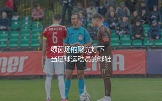 托纳利买自己赢:绿茵场的聚光灯下