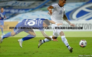阿齐兹·贝希奇：从墨尔本到世界的绿茵征程——阿齐兹·贝希奇的个人足球传奇