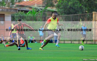 贝尔明·贝加诺维奇是谁？——探索「Belmin Beganovic」的成长之路与未来