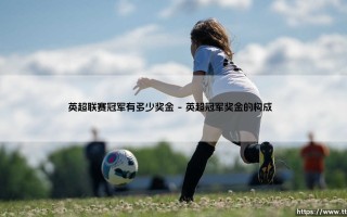 英超联赛冠军有多少奖金？揭秘冠军背后的财富密码