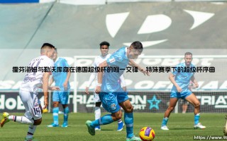 霍芬海姆与勒沃库森在德国超级杯的唯一交锋——东方体育