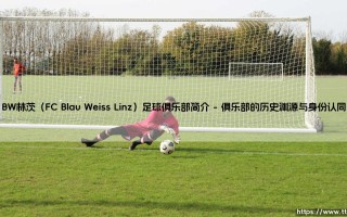 BW林茨足球俱乐部：奥地利足坛的蓝白劲旅