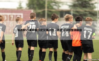 埃弗顿VS富勒姆历史交锋战绩：绿茵场上的命运交织