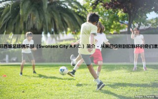 斯旺西城足球俱乐部（Swansea City A.F.C.）：威尔士红龙的英超逆袭密码是什么？