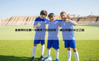 舍甫琴科在哪一年赢得了欧冠冠军——天体足球