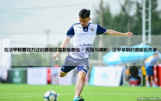 在法甲联赛效力过的挪威球星都有哪些？流光溢彩的北欧足迹