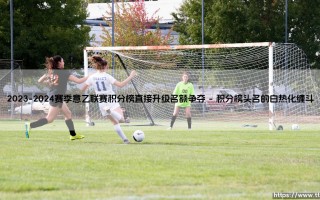 谁将踏上意甲舞台？2023-2024赛季意乙联赛积分榜：「直接升级名额争夺」终极解析