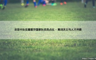 本菲卡队在葡萄牙国家队球员占比的深度解析