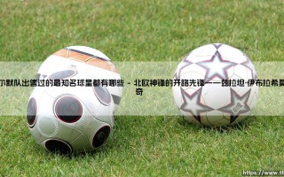 马尔默队出售过的最知名球星都有哪些解析
