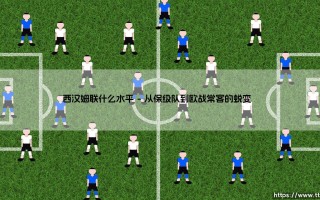 西汉姆联什么水平？深度解析西汉姆联的真实水平