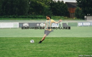 欧洲杯VAR团队组成探秘