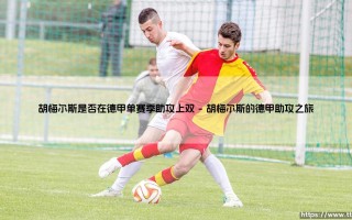 胡梅尔斯是否在德甲单赛季助攻上双的传奇故事