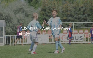 斯洛文尼亚队效力五大联赛的知名球星有哪些？足球小国的巨人基因从何而来？