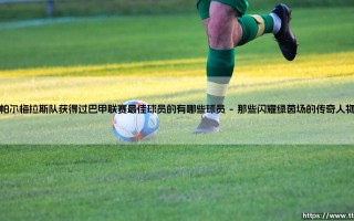 帕尔梅拉斯队获得过巴甲联赛最佳球员的有哪些球员_足球第一线