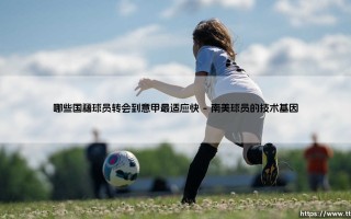 哪些国籍球员转会到意甲最适应快|球门之间