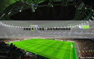 天狼星青训为啥强：揭秘足球人才工厂的成功密码