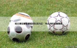 哈兰德在挪超的成长之路：他效力过哪些挪威球队？