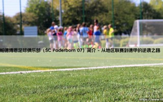 帕德博恩足球俱乐部是谁？——「SC Paderborn 07」：这支德甲升降机有什么特别之处？