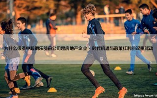 地产资本与足球联姻：为什么很多中超俱乐部母公司是房地产企业