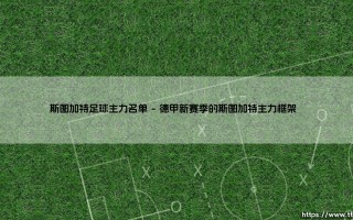 斯图加特足球主力名单解析：揭秘德甲劲旅的核心阵容