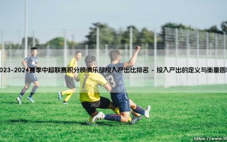 2023-2024赛季中超联赛积分榜的冷峻审视：俱乐部投入产出比的残酷排名