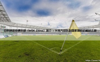日利纳足球俱乐部（MSK Zilina）简介：斯洛伐克绿茵的不灭灯塔