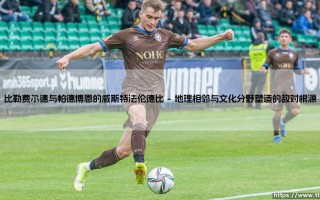 威斯特法伦德比：比勒费尔德与帕德博恩的绿茵恩怨与足球文化