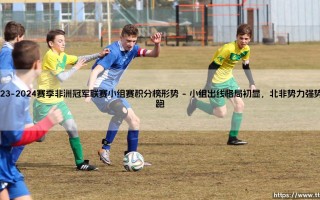 2023-2024赛季非洲冠军联赛小组赛积分榜形势深度解析