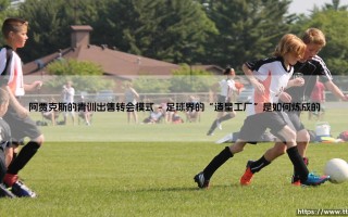 阿贾克斯的青训出售转会模式：一种持续盈利的足球哲学？「球星工厂」的生存之道