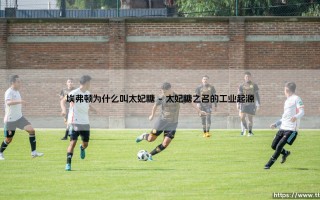 埃弗顿为什么叫太妃糖：探秘太妃糖绰号的由来