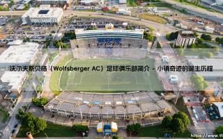 沃尔夫斯贝格足球俱乐部简介