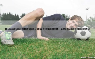 鲁伊科斯塔穿过哪些号码：探寻中场大师鲁伊科斯塔的号码传奇