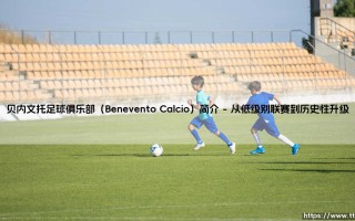 贝内文托足球俱乐部（Benevento Calcio）简介-绿茵上的诗人