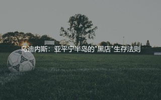 乌迪内斯是什么样的球队？亚平宁半岛的"黑店"生存法则